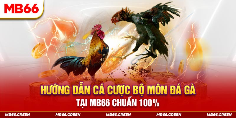 888b link xổ số bình định