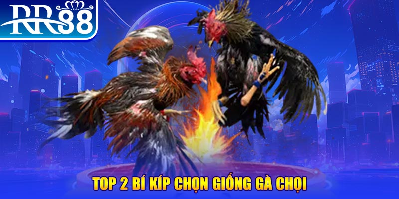 888b link đăng nhập poker số 1