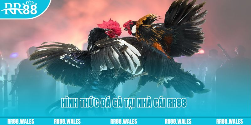 888b link xin 1 slot là gì