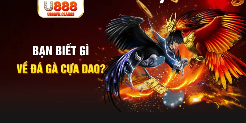 888b link xổ số kiến thiết