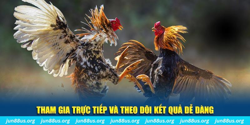 888b link đá gà trực tiếp bình luận viên