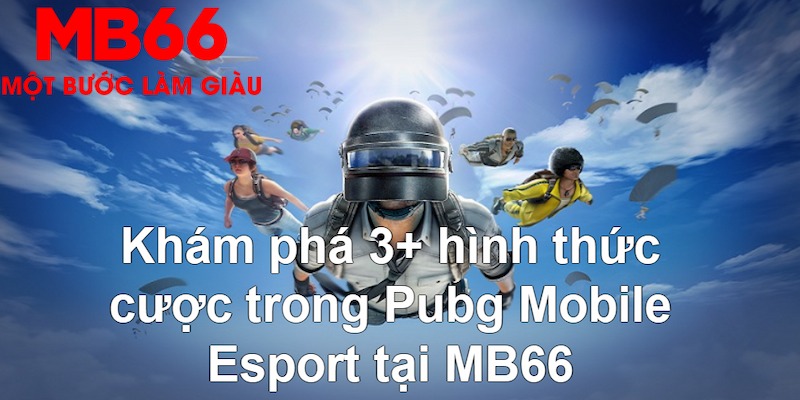 888b link so xo