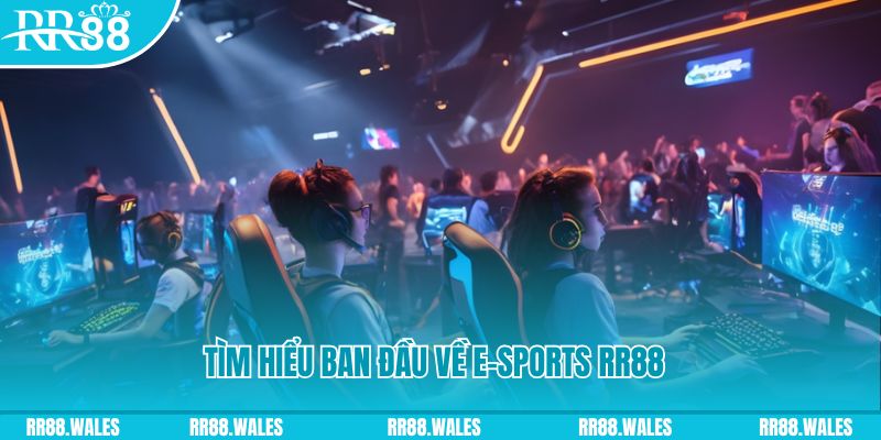 888b link Đĩa màu ace