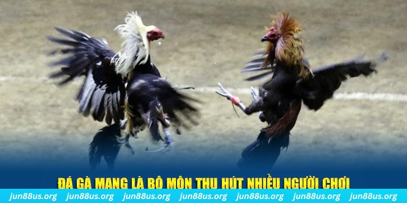 888b link xổ số cà mau