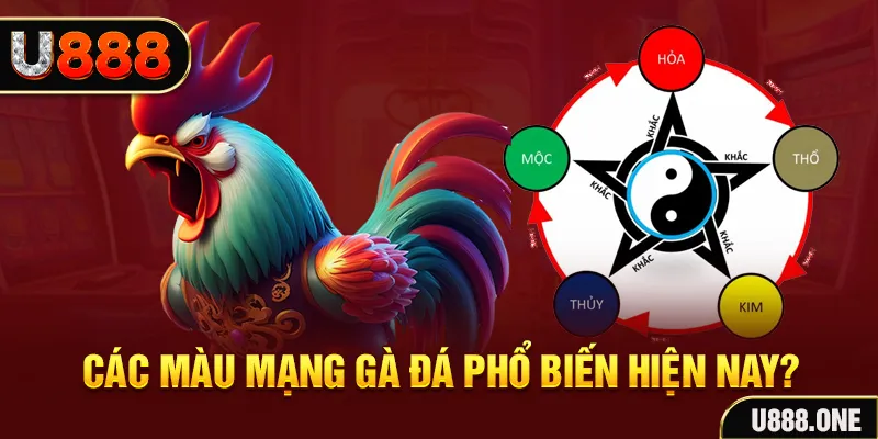 888b link đăng nhập mậu binh