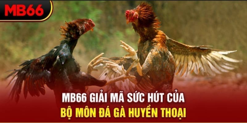 888b link Phi Đội Ưu Tú