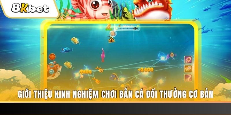 888b link xổ số miền bắc thứ năm hàng tuần
