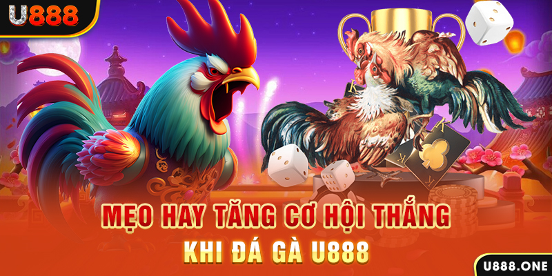 888b link trực tiếp gà chọi c1