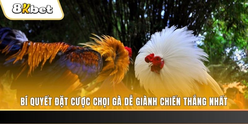 888b link Tài Xỉu 2