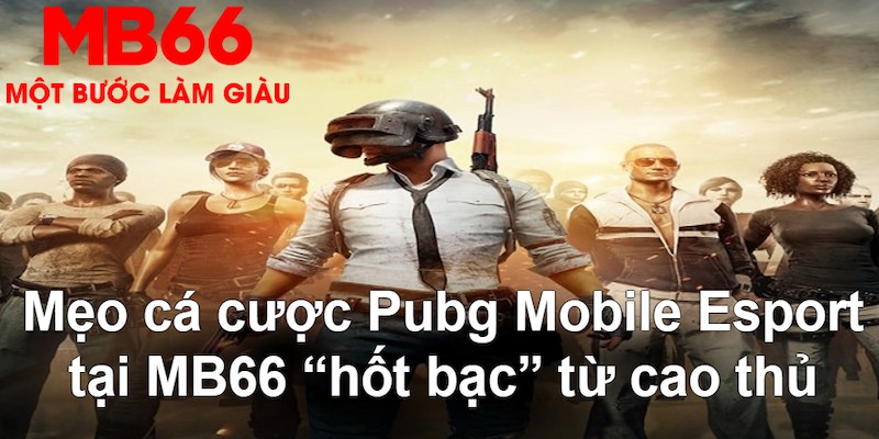 888b link gà chọi mộc hóa