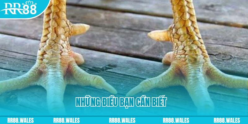 888b link đăng nhập liêng hàng đầu