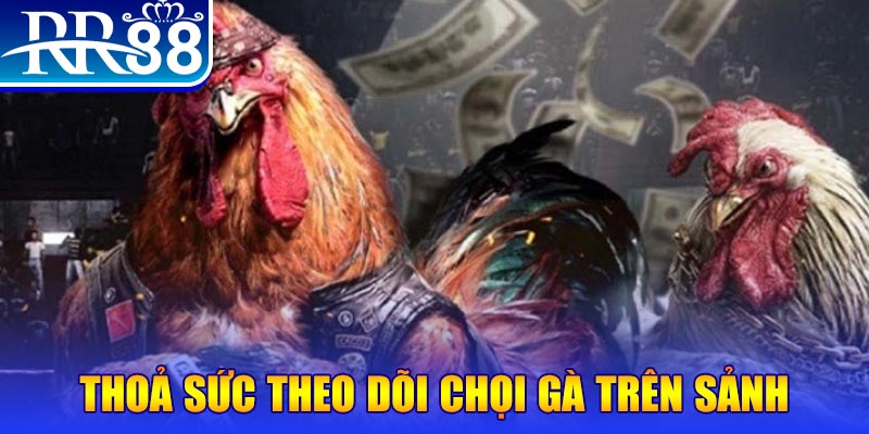 888b link đá gà 88.com