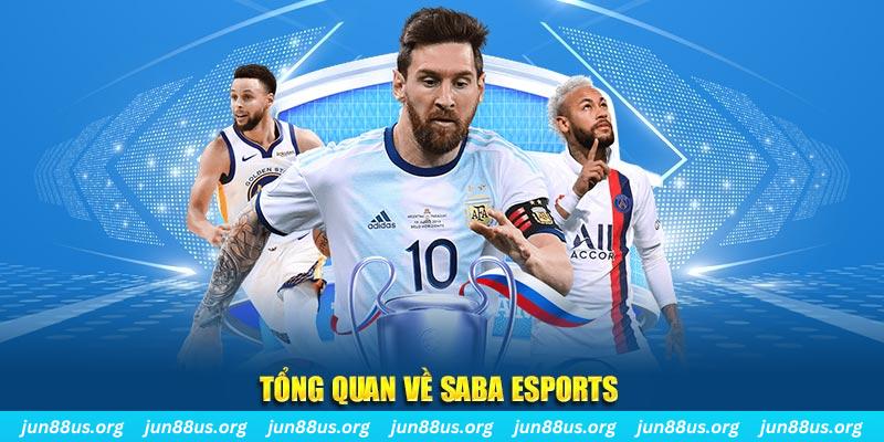 888b link gà chọi c1 tv trực tiếp hôm nay